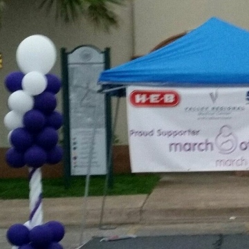 March of Dimes Brownsville – Columns